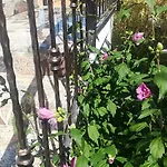 Apartment Jozefina