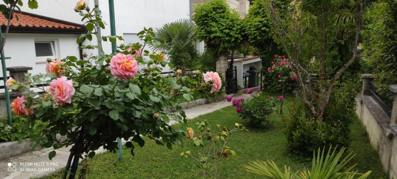 Jozefina Apartment *